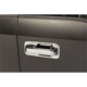 Purchase Top-Quality Door Handle Cover by PUTCO - 401066 pa3