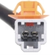 Purchase Top-Quality Door Lock Actuator by BLUE STREAK (HYGRADE MOTOR) - DLA81 pa3