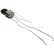 Purchase Top-Quality Door Lock Actuator by BLUE STREAK (HYGRADE MOTOR) - DLA567 pa5