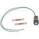 Purchase Top-Quality BLUE STREAK (HYGRADE MOTOR) - S2421 - Side Marker Lamp Connector pa1