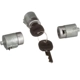 Purchase Top-Quality BLUE STREAK (HYGRADE MOTOR) - DL161 - Door Lock Kit pa1