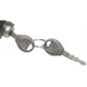 Purchase Top-Quality Door Lock Cylinder Set by BLUE STREAK (HYGRADE MOTOR) - DL200 pa1