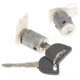 Purchase Top-Quality Door Lock Cylinder Set by BLUE STREAK (HYGRADE MOTOR) - DL30 pa1