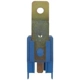 Purchase Top-Quality Door Lock Relay by BLUE STREAK (HYGRADE MOTOR) - RY1181 pa1
