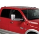 Purchase Top-Quality Door Mirror Cover by PUTCO - 400500 pa1