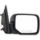 Purchase Top-Quality Door Mirror by DORMAN - 955-1719 pa1