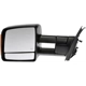 Purchase Top-Quality Miroir de porte de DORMAN - 955-2007 pa2
