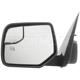 Purchase Top-Quality DORMAN - 9552449 -  Mirror pa4