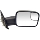 Purchase Top-Quality Door Mirror by DORMAN - 955-491 pa1