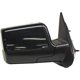Purchase Top-Quality Door Mirror by DORMAN - 955-841 pa2