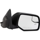 Purchase Top-Quality Door Mirror by DORMAN - 959-204 pa2
