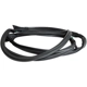 Purchase Top-Quality CROWN AUTOMOTIVE JEEP REPLACEMENT - 55395275AU - Door Weatherstrip pa1