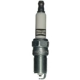 Purchase Top-Quality Double Platinum Plug by CHAMPION SPARK PLUG - 7013 pa1