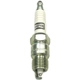 Purchase Top-Quality Double Platinum Plug by CHAMPION SPARK PLUG - 7018 pa8