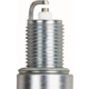 Purchase Top-Quality Double Platinum Plug by CHAMPION SPARK PLUG - 7031 pa10