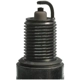 Purchase Top-Quality Double Platinum Plug by CHAMPION SPARK PLUG - 7031 pa5