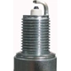 Purchase Top-Quality Double Platinum Plug by CHAMPION SPARK PLUG - 7031 pa7
