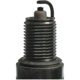 Purchase Top-Quality Double Platinum Plug by CHAMPION SPARK PLUG - 7031 pa9
