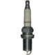 Purchase Top-Quality Double Platinum Plug by CHAMPION SPARK PLUG - 7071 pa8