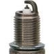 Purchase Top-Quality Double Platinum Plug by CHAMPION SPARK PLUG - 7166 pa2