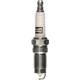 Purchase Top-Quality Double Platinum Plug by CHAMPION SPARK PLUG - 7407 pa2