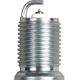 Purchase Top-Quality Double Platinum Plug by CHAMPION SPARK PLUG - 7940 pa9