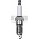 Purchase Top-Quality Double Platinum Plug by DENSO - 5071 pa2