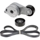 Purchase Top-Quality Drive Belt Kit by INA - FB30201K pa2