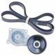 Purchase Top-Quality INA - FB3229K - Drive Belt Kit pa1
