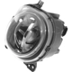 Purchase Top-Quality Driver Side Fog Lamp Assembly - BM2592152 pa4