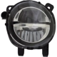 Purchase Top-Quality Driver Side Fog Lamp Assembly - BM2592153 pa1