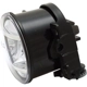 Purchase Top-Quality Driver Side Fog Lamp Assembly by DEPO - 217-2069L-AQ pa4