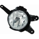 Purchase Top-Quality Driver Side Fog Lamp Assembly by DEPO - 235-2006L-AQ pa1