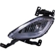 Purchase Top-Quality Driver Side Fog Lamp Assembly by DEPO - 321-2026L-ACN pa1