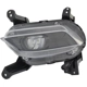 Purchase Top-Quality Driver Side Fog Lamp Assembly by DEPO - 321-2047L-AS pa1