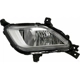 Purchase Top-Quality Driver Side Fog Lamp Assembly by DEPO - 323-2048L-AC pa2