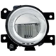 Purchase Top-Quality Driver Side Fog Lamp Assembly by DEPO - 325-2001L-AS pa1
