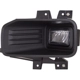 Purchase Top-Quality Driver Side Fog Lamp Assembly by DEPO - 330-2052L-AC pa3