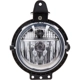 Purchase Top-Quality Driver Side Fog Lamp Assembly by DEPO - 882-2003N-AQ pa2