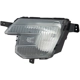 Purchase Top-Quality Driver Side Fog Lamp Assembly - FO2592237 pa1