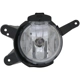 Purchase Top-Quality Driver Side Fog Lamp Assembly - GM2592300C pa1