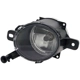 Purchase Top-Quality Driver Side Fog Lamp Assembly - GM2592301C pa10
