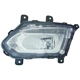 Purchase Top-Quality Driver Side Fog Lamp Assembly - GM2592316C pa1