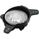 Purchase Top-Quality Driver Side Fog Lamp Assembly - GM2592319 pa2