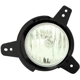 Purchase Top-Quality Driver Side Fog Lamp Assembly - GM2592319 pa8