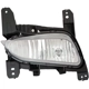 Purchase Top-Quality Driver Side Fog Lamp Assembly - GM2592321C pa8