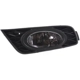 Purchase Top-Quality Driver Side Fog Lamp Assembly - HO2592121 pa3