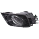 Purchase Top-Quality Driver Side Fog Lamp Assembly - HO2592121 pa4