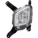 Purchase Top-Quality Driver Side Fog Lamp Assembly - KI2592138 pa1