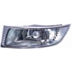 Purchase Top-Quality Driver Side Fog Lamp Assembly - LX2592105 pa1